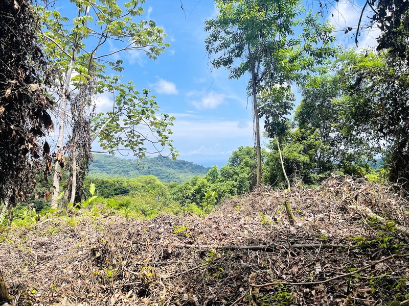 Land For Sale in Dominical Costa Rica